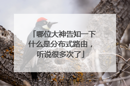 哪位大神告知一下什么是分布式路由，听说很多次了