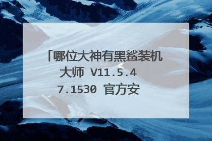 哪位大神有黑鲨装机大师 V11.5.47.1530 官方安装版软件百度云资源
