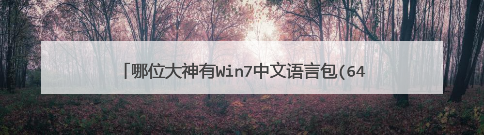 哪位大神有Win7中文语言包(64位&32位) 官方版软件百度云资源