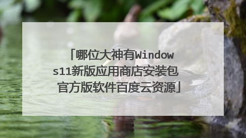 哪位大神有Windows11新版应用商店安装包 官方版软件百度云资源