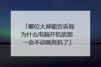 哪位大神能告诉我为什么电脑开机放那一会不动就死机了