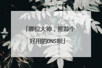 哪位大神,推荐个好用的DNS呗