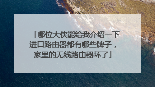 哪位大侠能给我介绍一下进口路由器都有哪些牌子，家里的无线路由器坏了