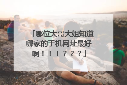 哪位大哥大姐知道哪家的手机网址最好啊!!!???