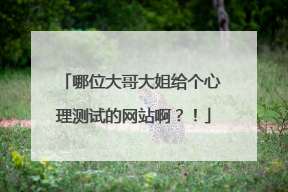 哪位大哥大姐给个心理测试的网站啊?!