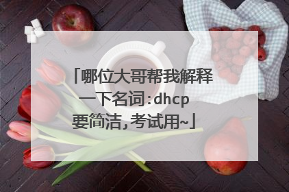 哪位大哥帮我解释一下名词:dhcp要简洁,考试用~
