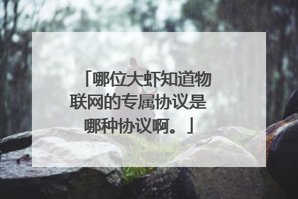 哪位大虾知道物联网的专属协议是哪种协议啊。