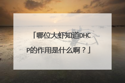 哪位大虾知道DHCP的作用是什么啊？