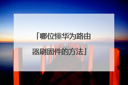 哪位懂华为路由器刷固件的方法
