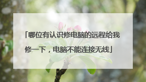 哪位有认识修电脑的远程给我修一下，电脑不能连接无线