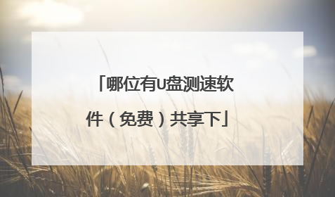 哪位有U盘测速软件（免费）共享下