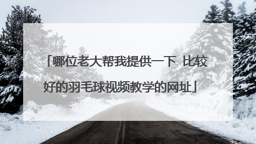 哪位老大帮我提供一下 比较好的羽毛球视频教学的网址