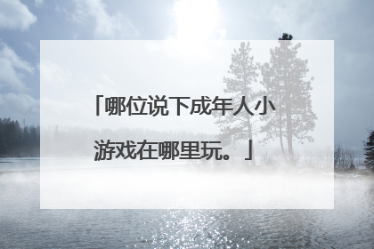 哪位说下成年人小游戏在哪里玩。