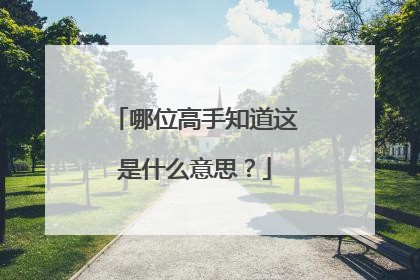 哪位高手知道这是什么意思?
