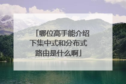 哪位高手能介绍下集中式和分布式路由是什么啊