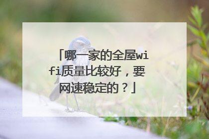 哪一家的全屋wifi质量比较好,要网速稳定的?