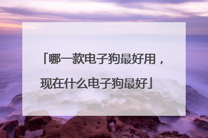 哪一款电子狗最好用,现在什么电子狗最好