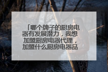 哪个牌子的厨房电器有发展潜力，我想加盟厨房电器代理，加盟什么厨房电器品牌比较好?