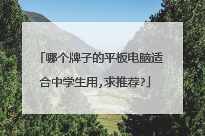 哪个牌子的平板电脑适合中学生用,求推荐?