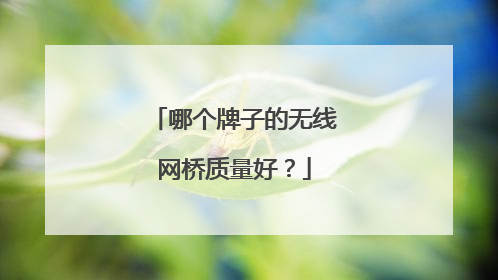 哪个牌子的无线网桥质量好?