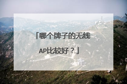 哪个牌子的无线AP比较好?