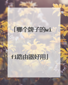 哪个牌子的wifi路由器好用