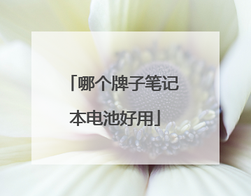 哪个牌子笔记本电池好用