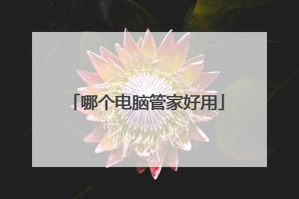哪个电脑管家好用