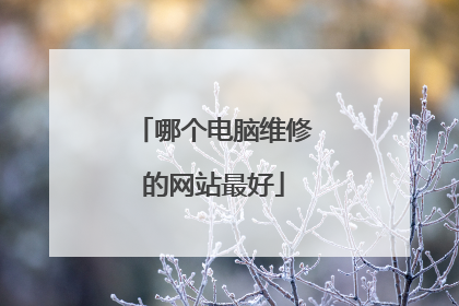 哪个电脑维修的网站最好