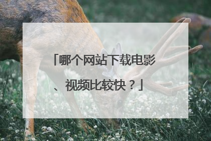 哪个网站下载电影、视频比较快?