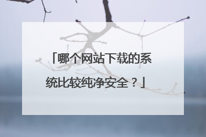 哪个网站下载的系统比较纯净安全?
