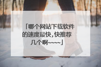 哪个网站下载软件的速度最快,快推荐几个啊~~~~