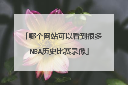 哪个网站可以看到很多NBA历史比赛录像