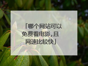 哪个网站可以免费看电影,且网速比较快