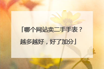 哪个网站卖二手手表?越多越好,好了加分