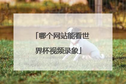 哪个网站能看世界杯视频录象