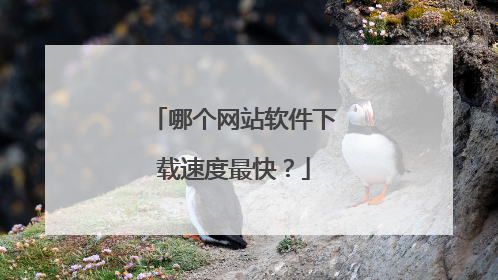 哪个网站软件下载速度最快?