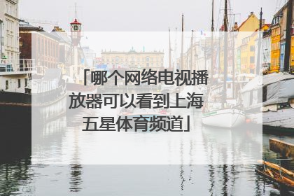 哪个网络电视播放器可以看到上海五星体育频道
