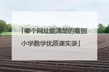 哪个网址能清楚的看到小学数学优质课实录