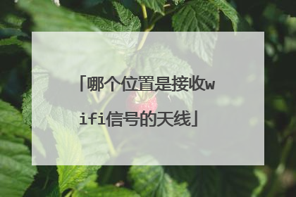 哪个位置是接收wifi信号的天线