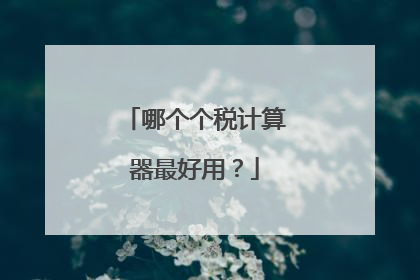 哪个个税计算器最好用?