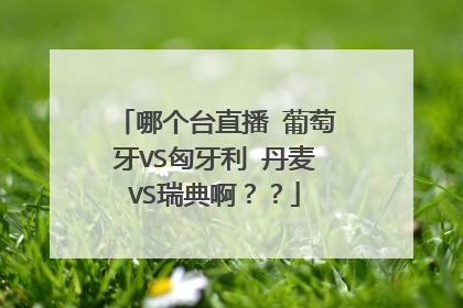 哪个台直播 葡萄牙VS匈牙利 丹麦VS瑞典啊？？