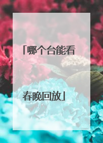 哪个台能看春晚回放