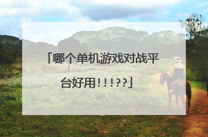 哪个单机游戏对战平台好用!!!??