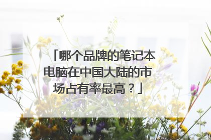 哪个品牌的笔记本电脑在中国大陆的市场占有率最高?
