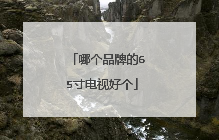 哪个品牌的65寸电视好个