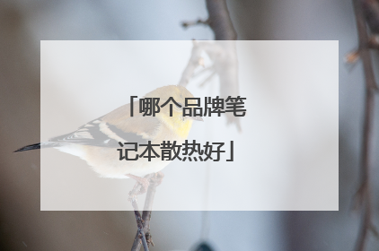 哪个品牌笔记本散热好