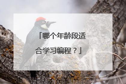哪个年龄段适合学习编程？