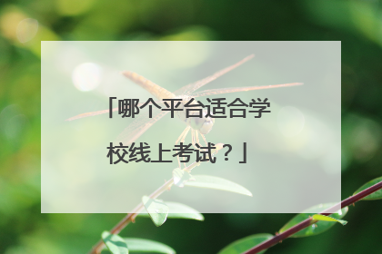 哪个平台适合学校线上考试?