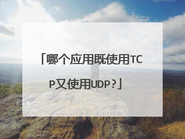 哪个应用既使用TCP又使用UDP?